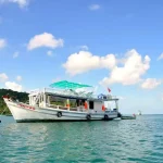 Night Squid Fishing Tour In Phu Quoc - Phu Quoc Private Car