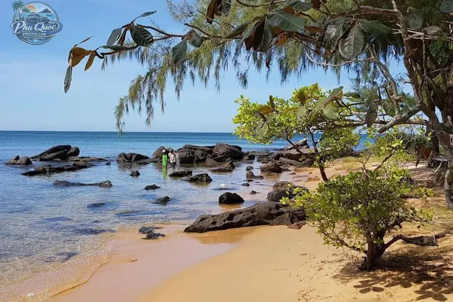 Wild Ong Lang Beach
