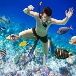 Phu Quoc Snorkeling Tour - Phu Quoc Private Car