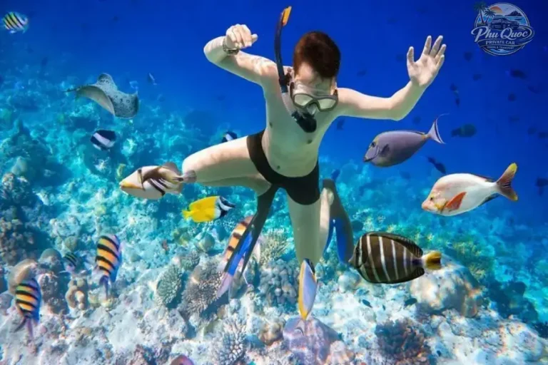 Phu Quoc Snorkeling Tour - Phu Quoc Private Car