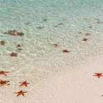 Rach Vem Fishing Village Tour In Phu Quoc - Phu Quoc Private Car
