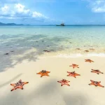 Sheraton Resort To Sao Beach Transfer Service - Phu Quoc Private Car