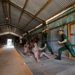 Tour Phu Quoc City - Phu Quoc Private Car