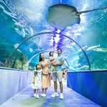 Private car Sheraton resort to Vinpearl Resort - Phu Quoc Private Car