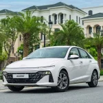 Vinpearl Resort to Duong Dong Town by car - Phu Quoc Private Car