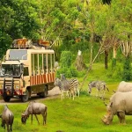 JW Marriott Resort To Vinpearl Safari By Car Transfer - Phu Quoc Private Car