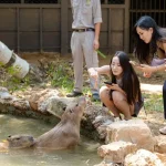 JW Marriott Resort To Vinpearl Safari By Private Car Transfer - Phu Quoc Private Car