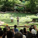 JW Marriott Resort To Vinpearl Safari By Private Car Transfer - Phu Quoc Private Car