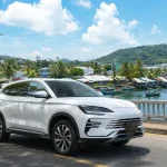 InterContinental Phu Quoc Resort to Duong Dong Town Private Car - Phu Quoc Private Car