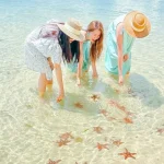 Private car Pullman Beach Resort to Rach Vem - Phu Quoc Private Car
