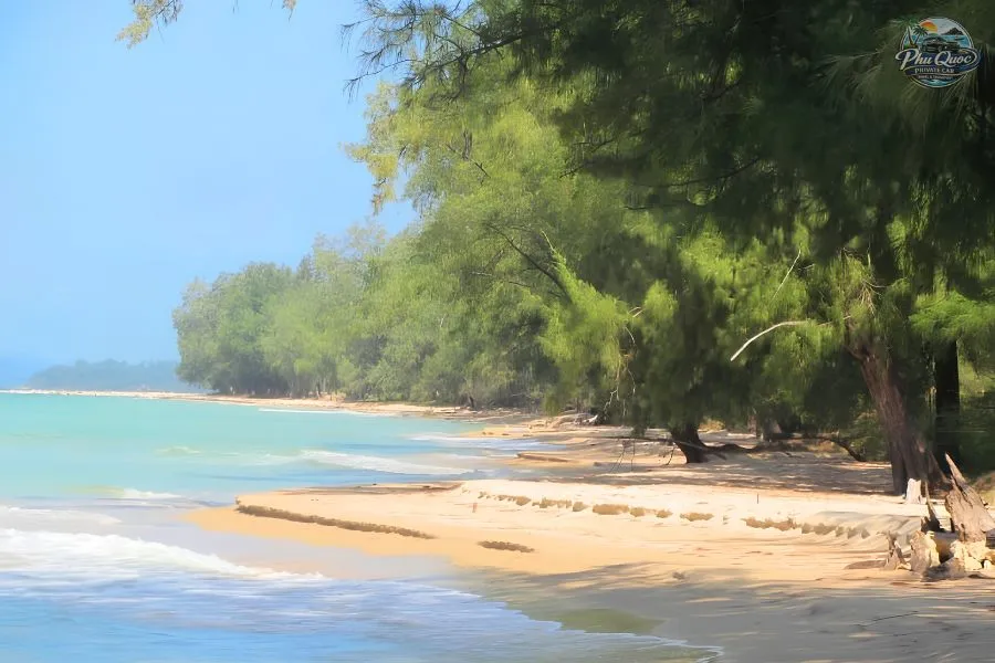 Vung Bau Beach - Phu Quoc Private Car
